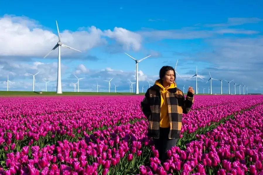 Trip to the Netherlands