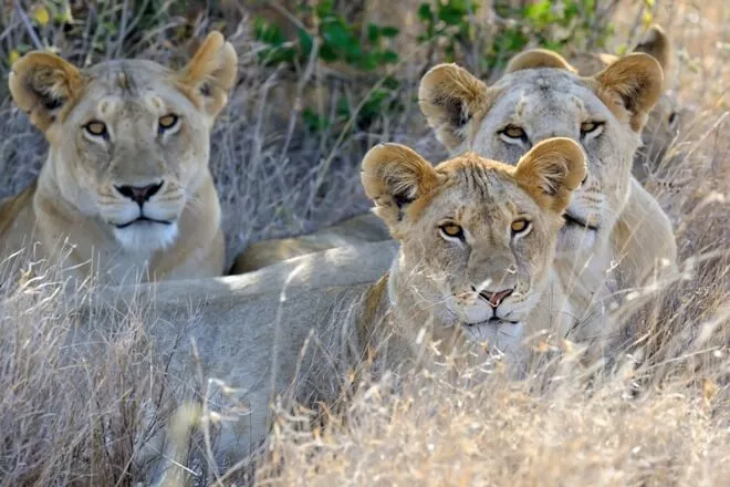 Things to do in South Africa