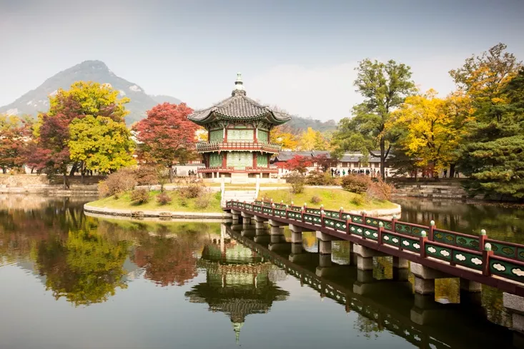 Buddhist Temples