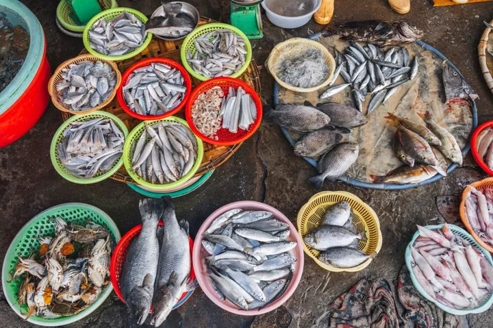 Jagalchi Fish Market