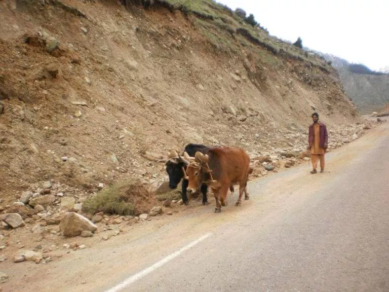 Kalam Pakistan
