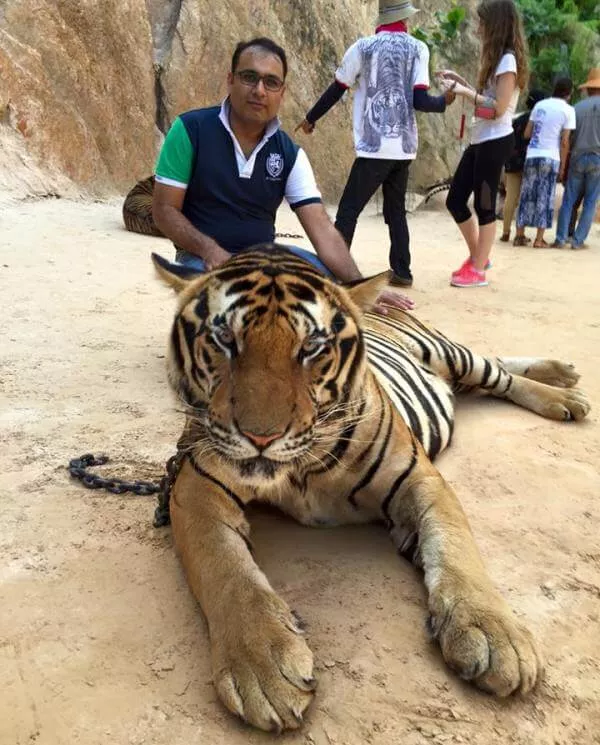 Tiger temple Krabi